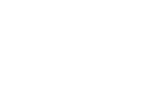 Mobilier Masiv